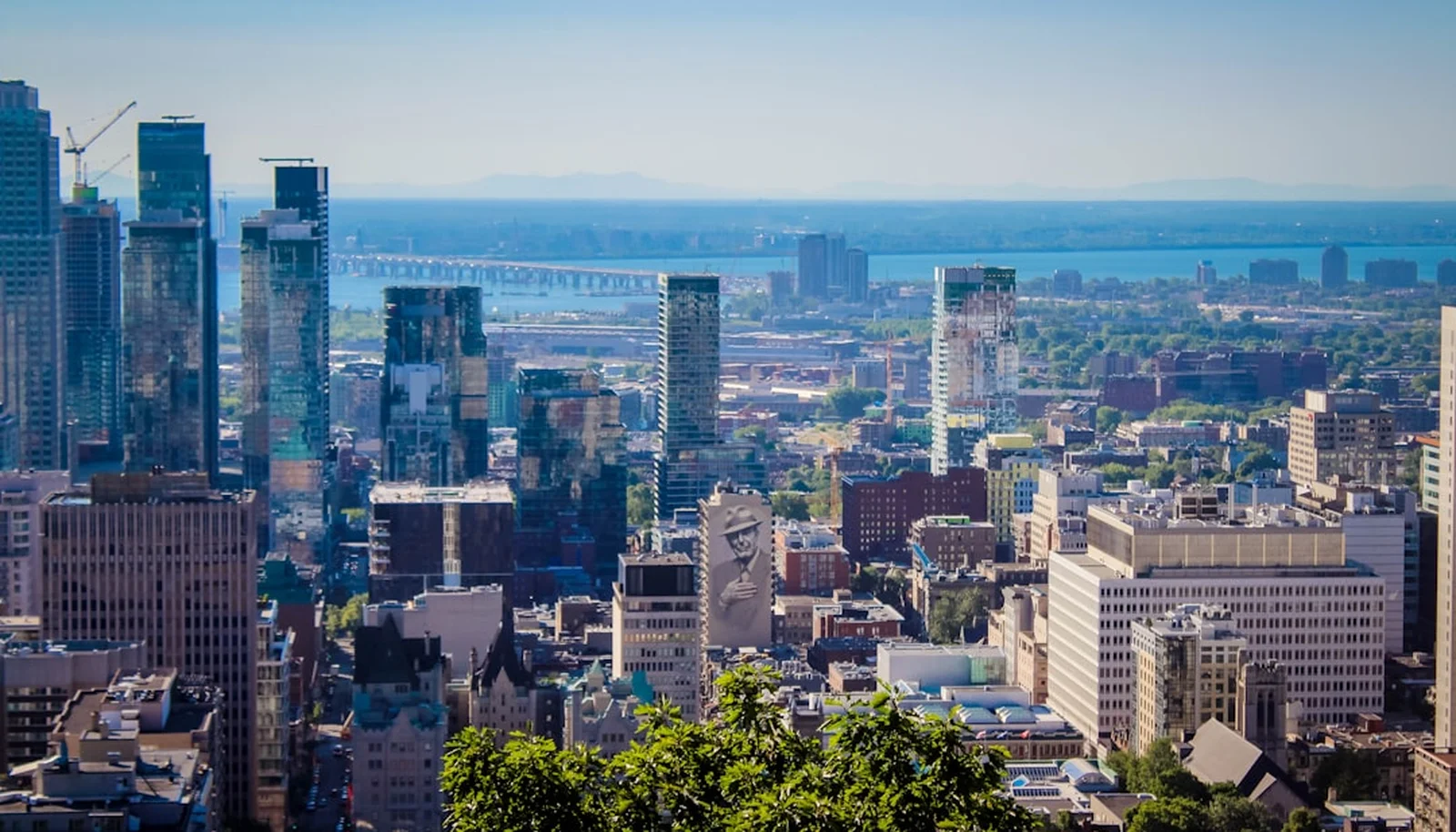 Cover Image for Canadian Dollar Rebounds After Strong Jobs Report